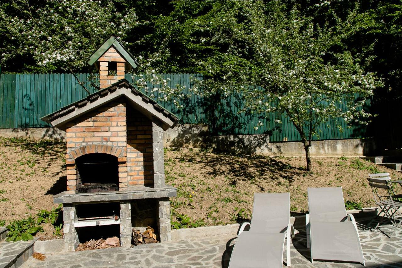 Studio 35 Busteni Buşteni Exterior foto